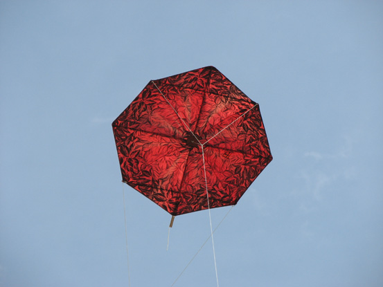 08- Petillon de Robert Petillon - Jean-Francois Caraffini